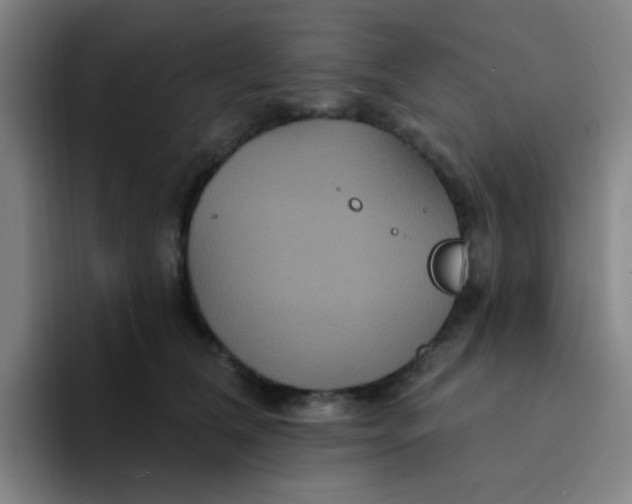 X0000094230612200711161911