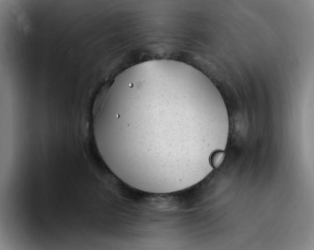 X0000094230615200711161910