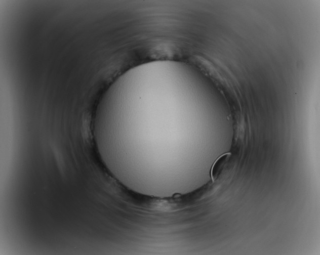 X0000094230616200711161910