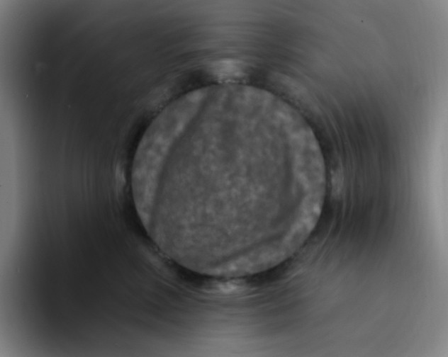 X0000094230618200711161910