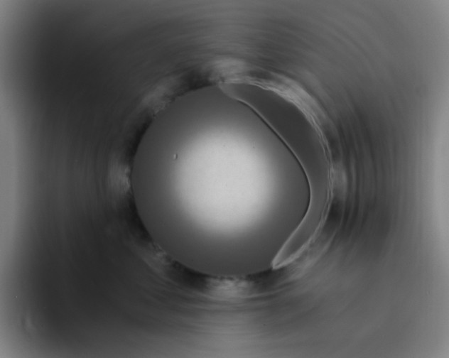 X0000094230621200711161910