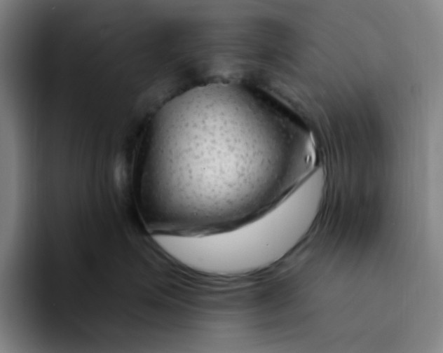 X0000094230623200711161910