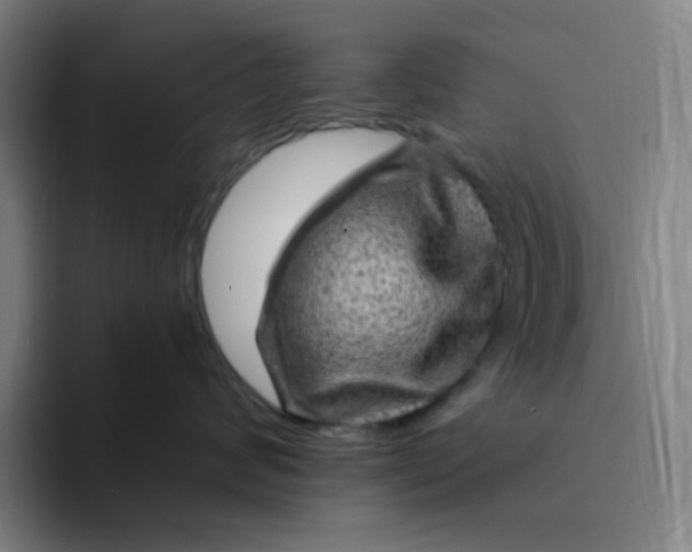 X0000094230624200711161910