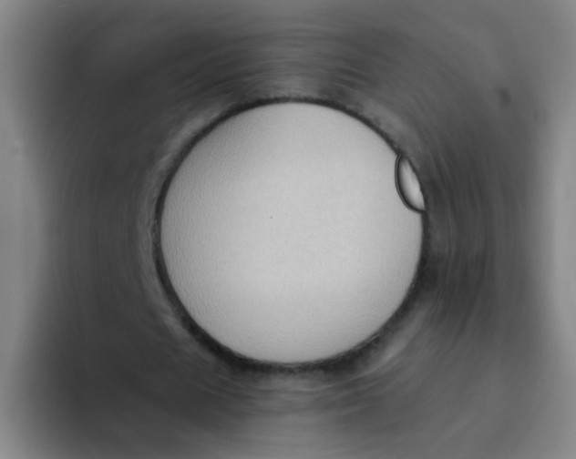 X0000094230625200711161910