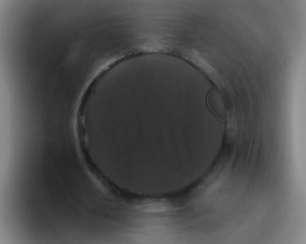 X0000094230626200711161910