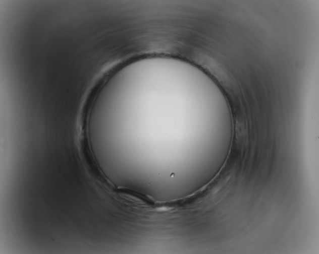 X0000094230628200711161910