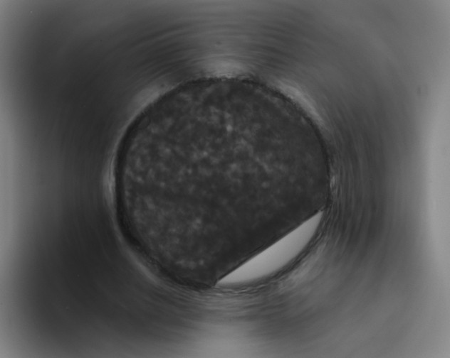 X0000094230630200711161910