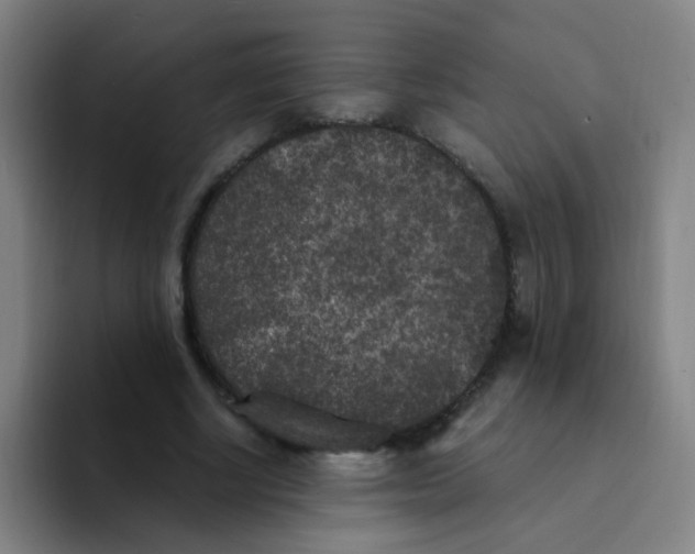 X0000094230634200711161910