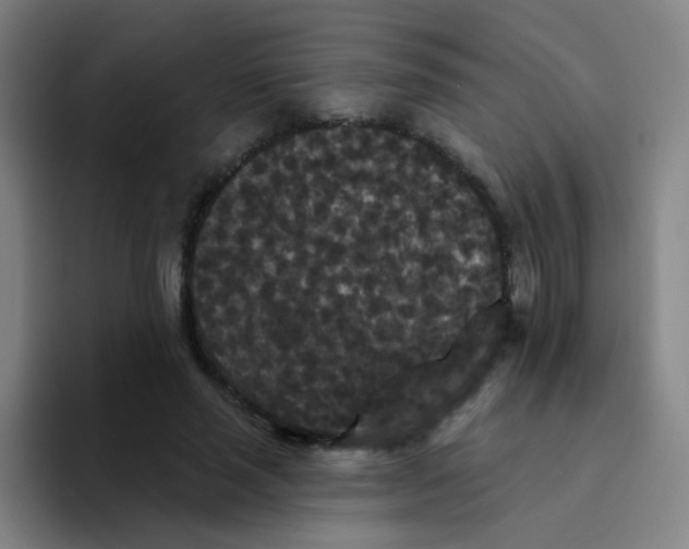 X0000094230637200711161910