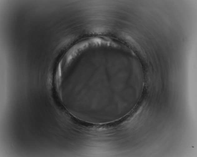 X0000094230640200711161910