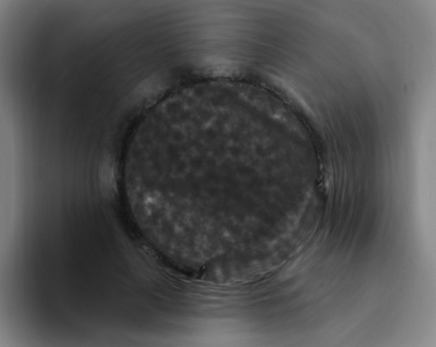 X0000094230643200711161910