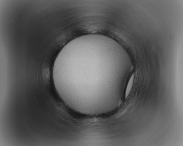 X0000094230646200711161910