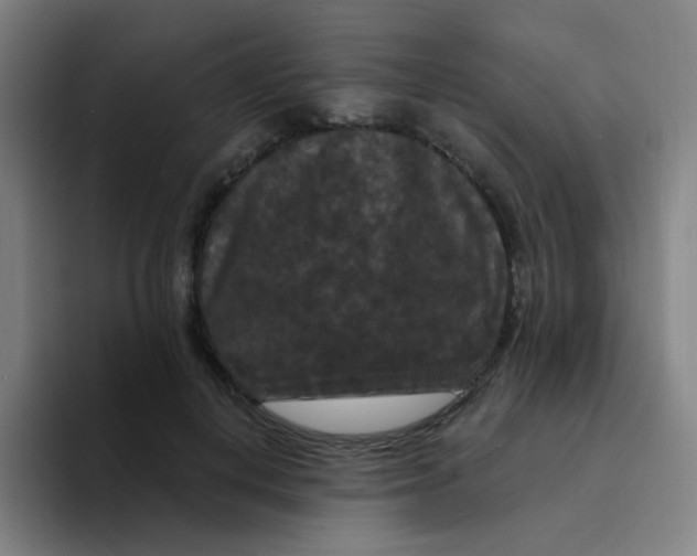 X0000094230648200711161910