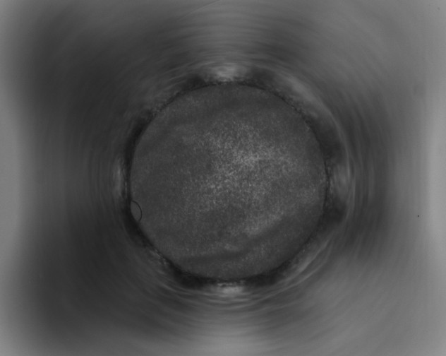 X0000094230651200711161910