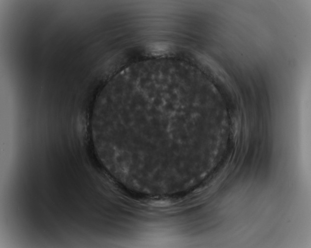 X0000094230653200711161910