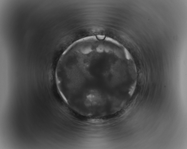 X0000094230654200711161910