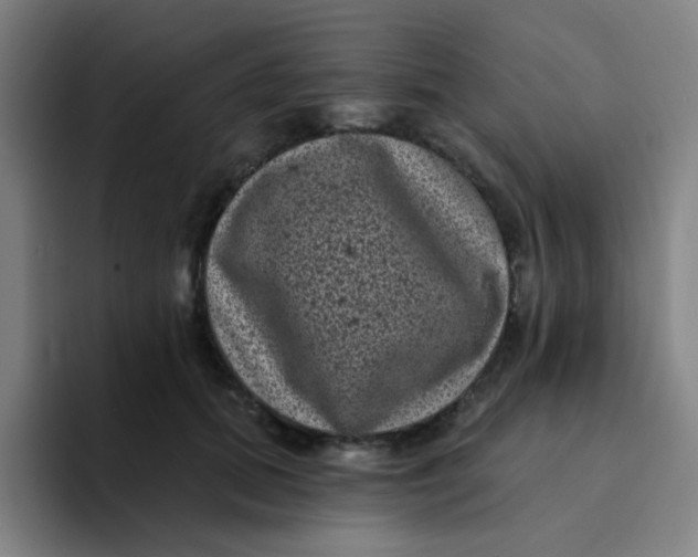 X0000094230655200711161910