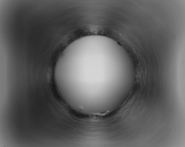 X0000094230656200711161910