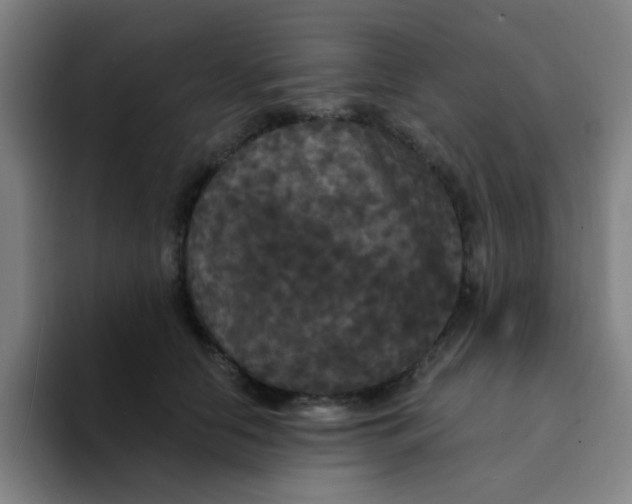 X0000094230658200711161910