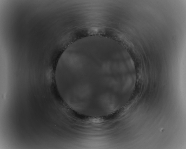 X0000094230659200711161910