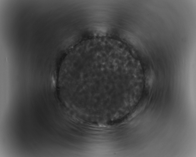 X0000094230661200711161910