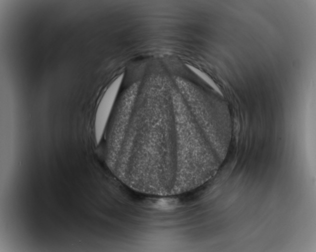 X0000094230663200711161910
