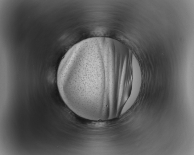 X0000094230665200711161910