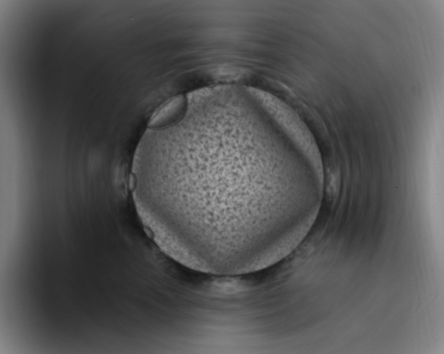X0000094230666200711161910