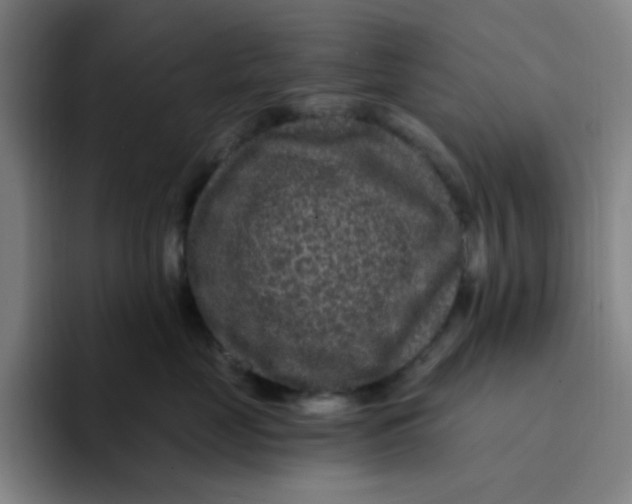 X0000094230669200711161910