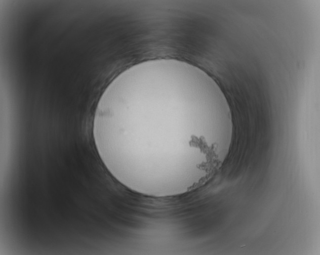 X0000094230672200711161910