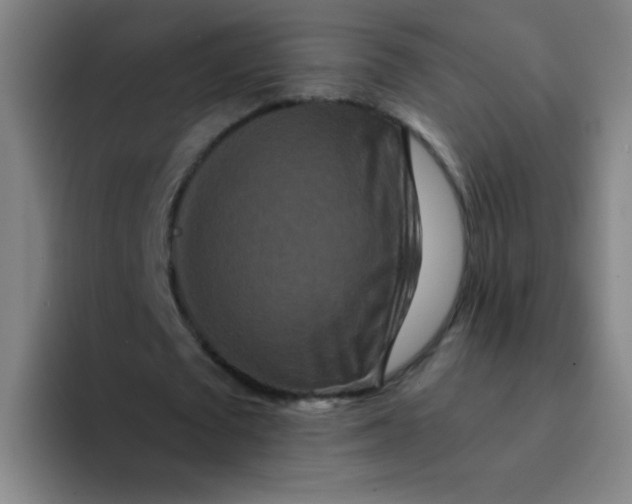 X0000094230673200711161910