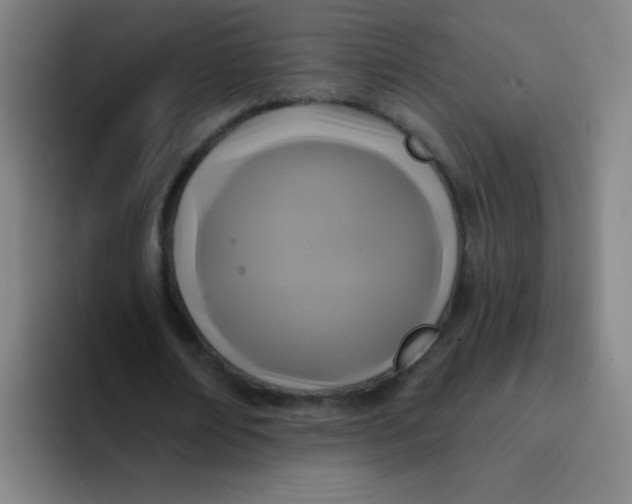 X0000094230674200711161910