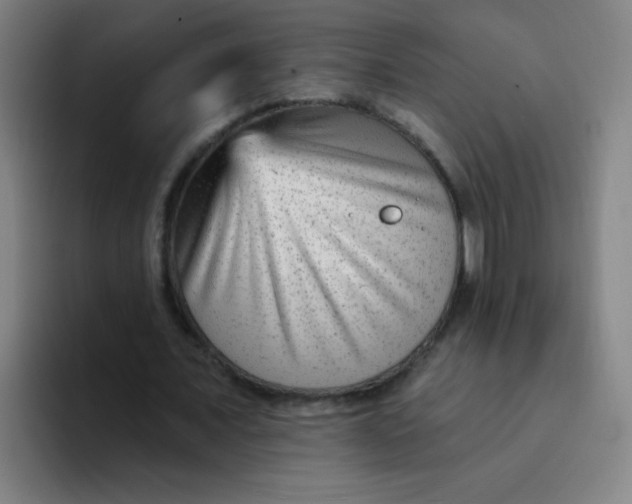 X0000094230675200711161910