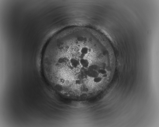 X0000094230679200711161910