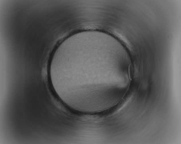 X0000094230681200711161910