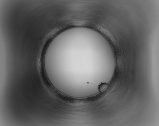 X0000094230682200711161910