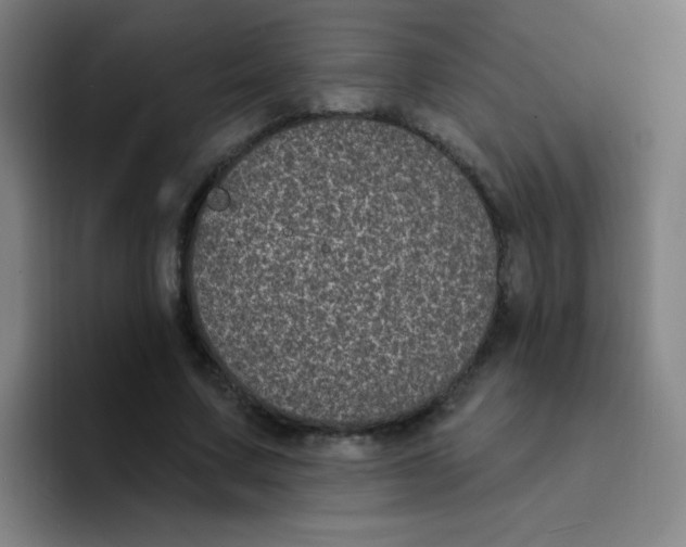 X0000094230683200711161910