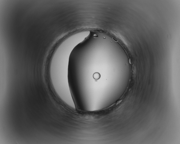 X0000094230684200711161910