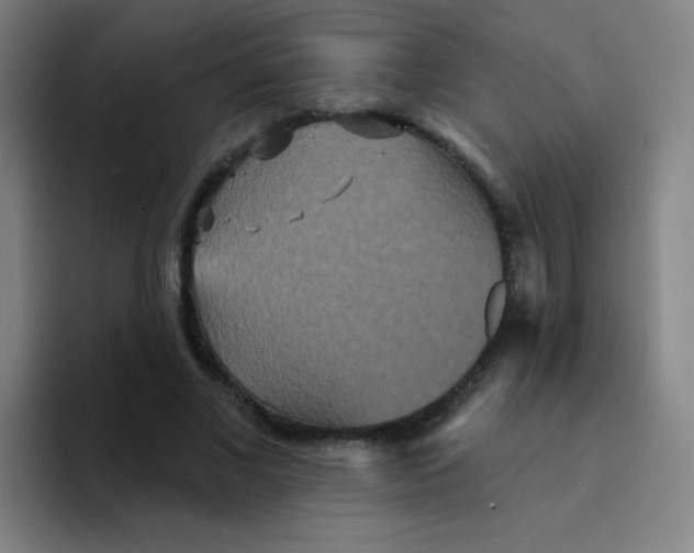 X0000094230685200711161910
