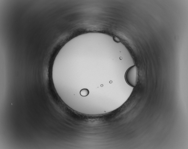 X0000094230686200711161910