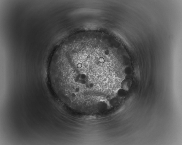 X0000094230687200711161910