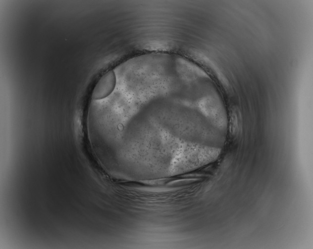 X0000094230688200711161910