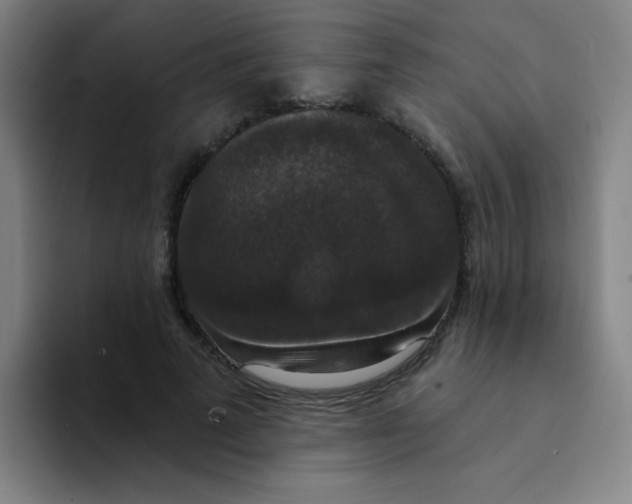 X0000094230689200711161910