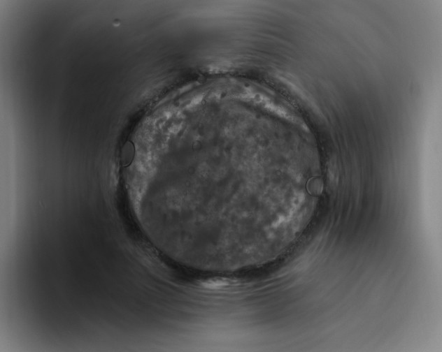 X0000094230691200711161909