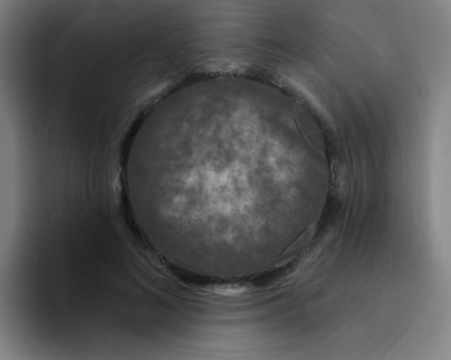 X0000094230692200711161909