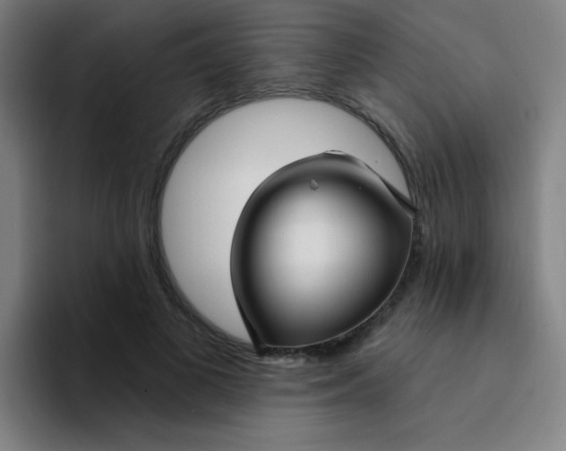 X0000094230693200711161909