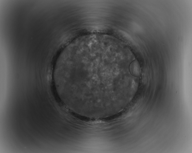 X0000094230695200711161909