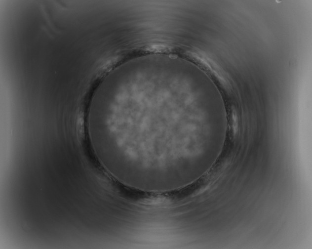 X0000094230696200711161909