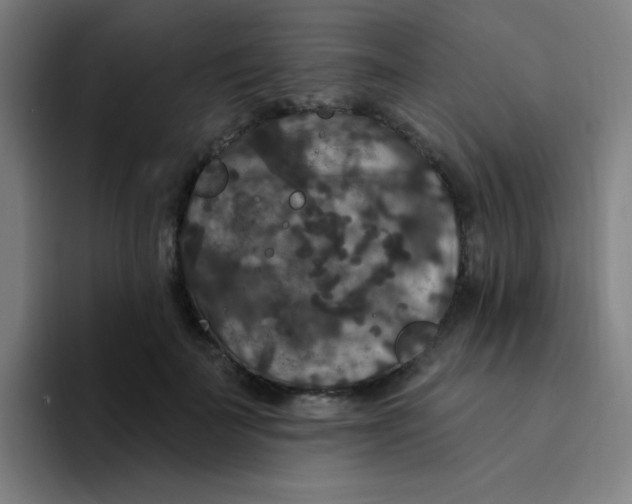 X0000094230699200711161909