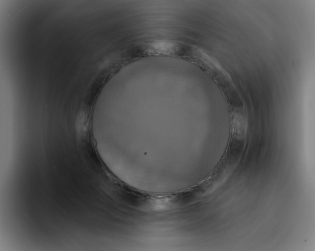 X0000094230701200711161909